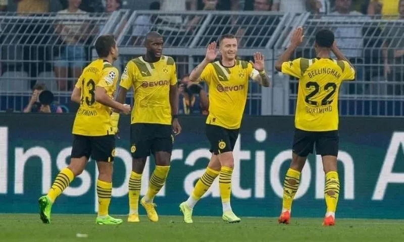 Ai là chủ sở hữu của Borussia Dortmund?