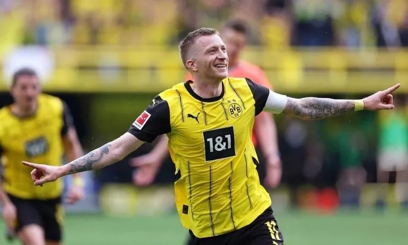 Câu khẩu hiệu của BVB là gì?